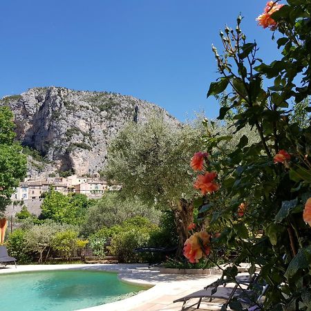 Bed and Breakfast Bastide des Oliviers à Moustiers-Sainte-Marie Extérieur photo