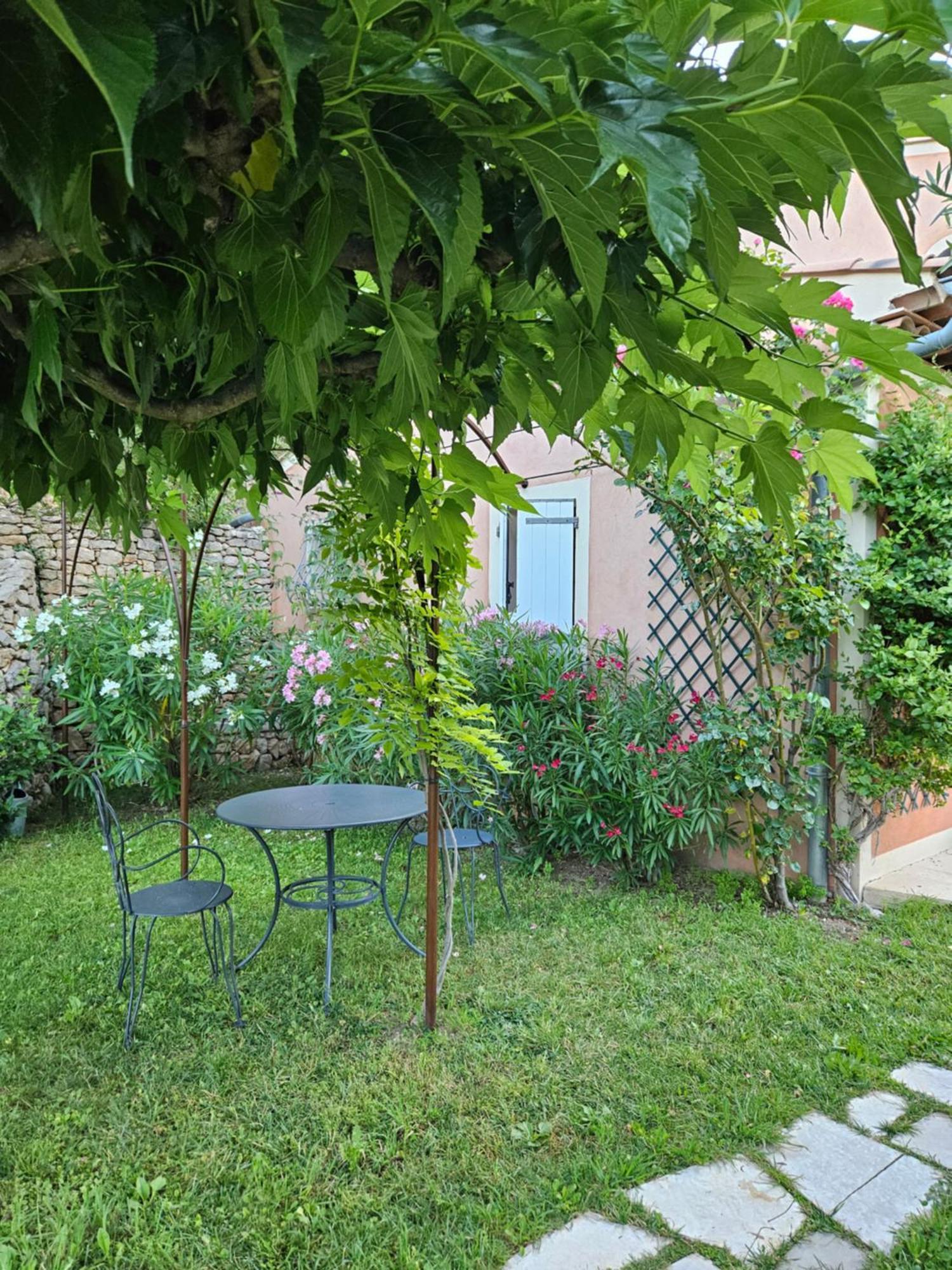 Bed and Breakfast Bastide des Oliviers à Moustiers-Sainte-Marie Extérieur photo
