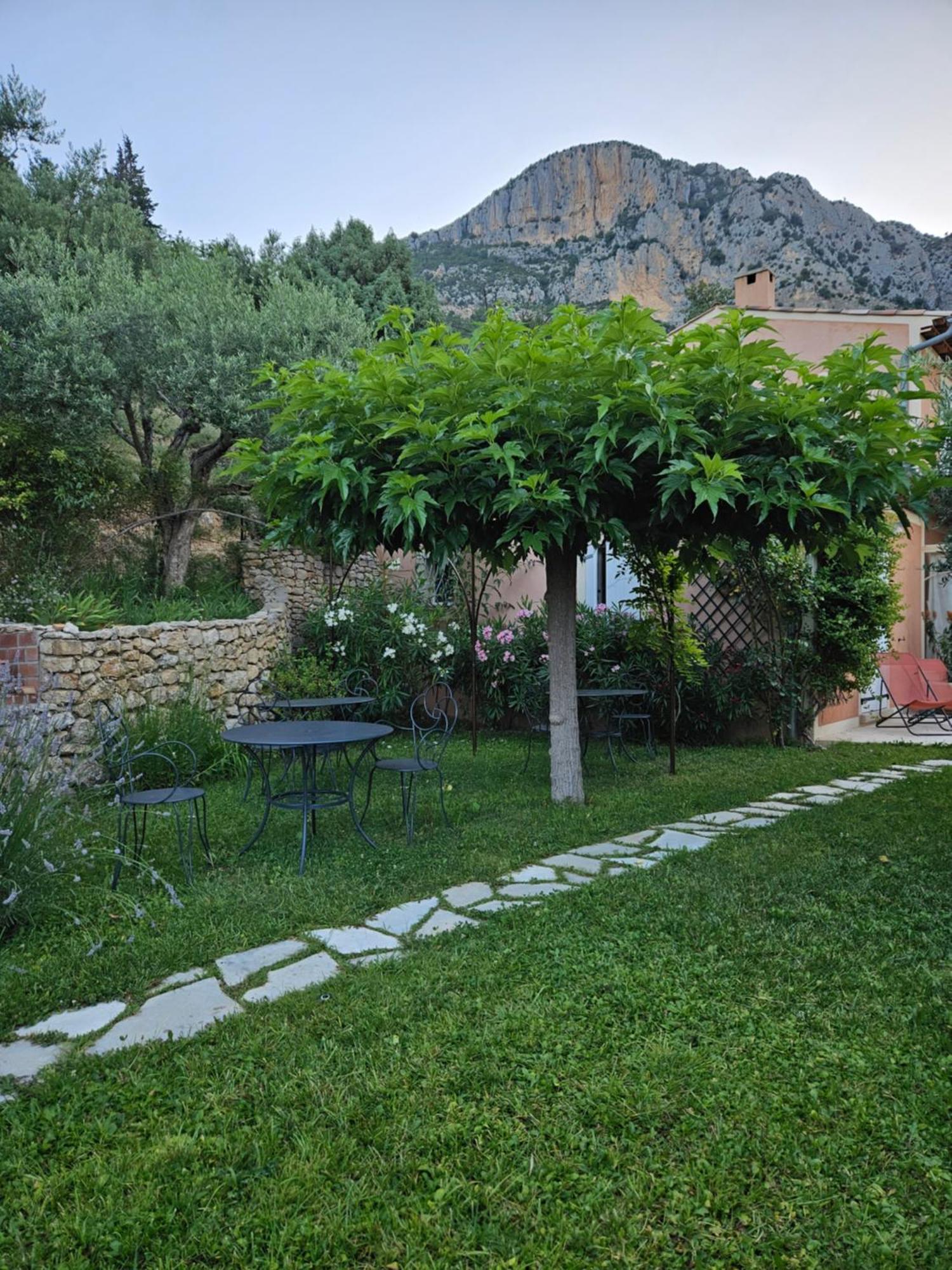 Bed and Breakfast Bastide des Oliviers à Moustiers-Sainte-Marie Extérieur photo